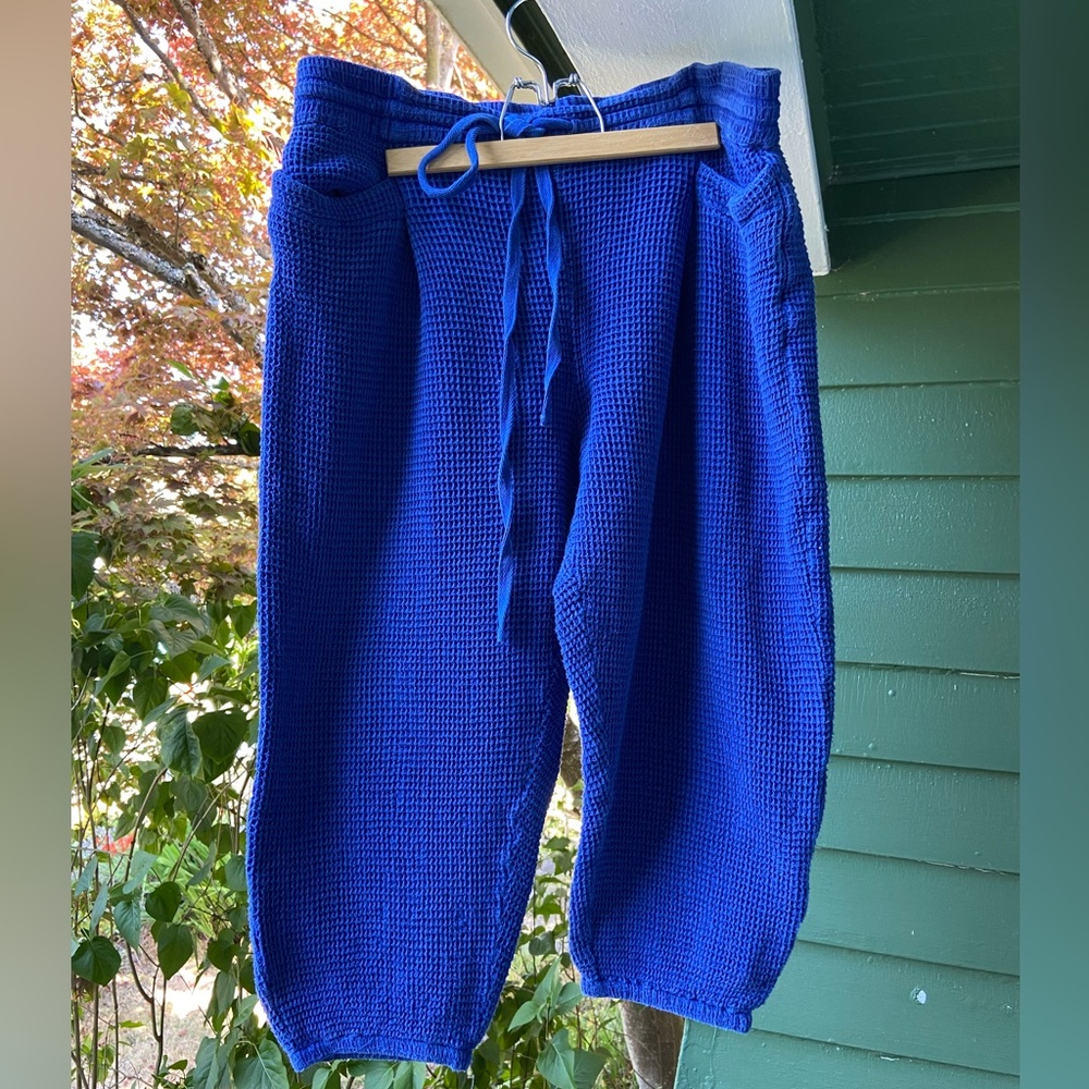 Rujuta Sheth Jogger Pants - 2X - Cobalt